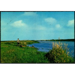 Parti fra Skjern Aa - Stender 49 715/6 - Ubrugt