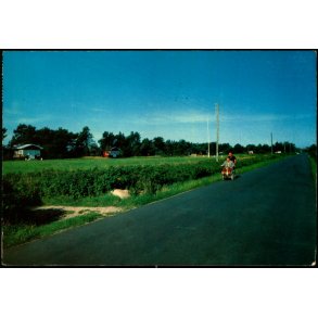 Parti fra Kosmos Ferieby - Klint - Turistforlaget 202