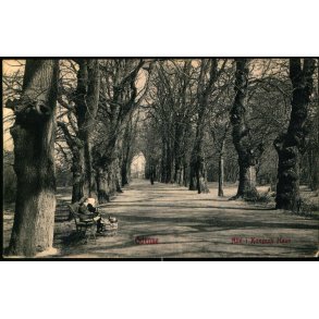 Odense -  Alle i Kongens Have - Warburgs Forlag 3535 - Brugt