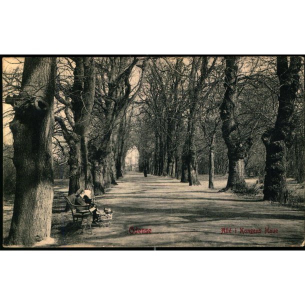 Odense -  Alle i Kongens Have - Warburgs Forlag 3535 - Brugt