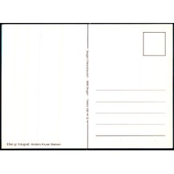 Efter Gl. Foto - Anders Kruse Nielsen - Skagen Fiskerestaurant u/n - Ubrugt