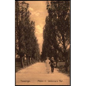 Taasinge - Allen ved Valdemar Slot - Stender 3715 - Ubrugt
