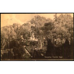 Bangsh�j - Tisvilde Hegn - S. Nielsen 43712 - Brugt