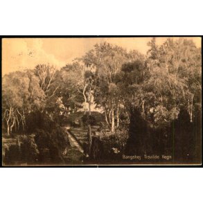 Bangsh�j - Tisvilde Hegn - S. Nielsen 43712 - Brugt