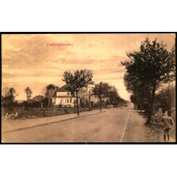 Frederiksborgvej - Jrgensens  Bogh. 35545 - Ubrugt - Fold !