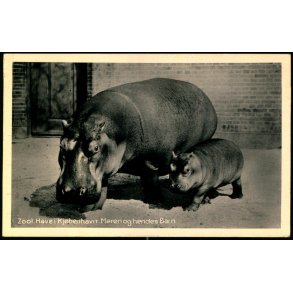 Zoologisk Have i Kjbenhavn - Maren og hedes Barn - Zoologisk Have 69169
