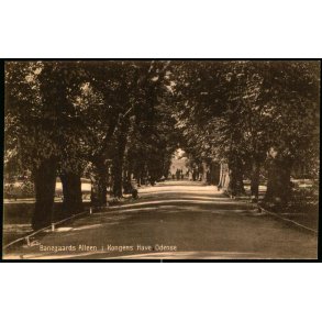 Banegaards Alleen i Kongens Have - Odense - J.C.P.V. u/n - Ubrugt