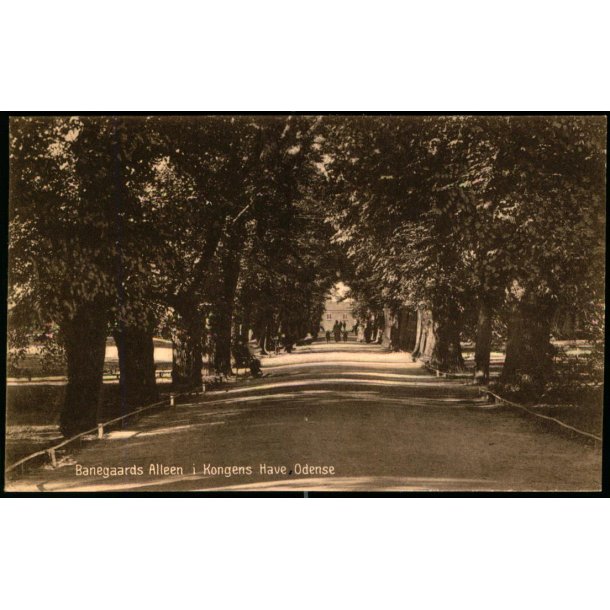 Banegaards Alleen i Kongens Have - Odense - J.C.P.V. u/n - Ubrugt