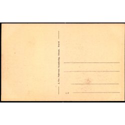 Alleen i Kongens Have med Tietgens Statue - Odense - Chr. pedersens Forlag 5 p - Ubrugt