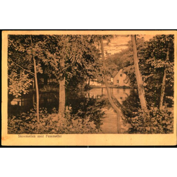 Skovmllen ved Femmller - Ebeltoft Bogh. 1007 - Brugt