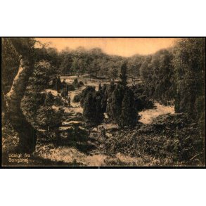 Udsigt fra Bangsh�j - S. Nielsen 51646 - Ubrugt