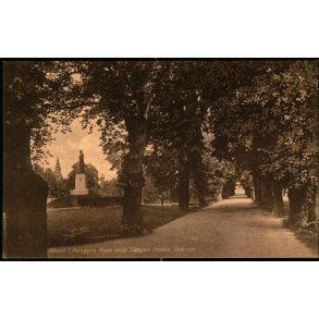 Alleen i Kongens Have med Tietgens Statue - Odense - Chr. pedersens Forlag 5 p - Ubrugt