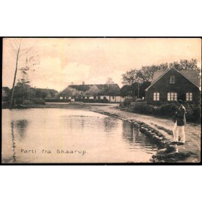 Parti fra Skaarup - Stender 11161 - Brugt