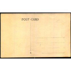 Fotokort Ukendt - Dame og Hund - Ubrugt