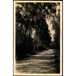 Tisvilde Hegn - Birke Alleen - Stationskiosken 103 - Ubrugt