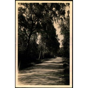 Tisvilde Hegn - Birke Alleen - Stationskiosken 103 - Ubrugt