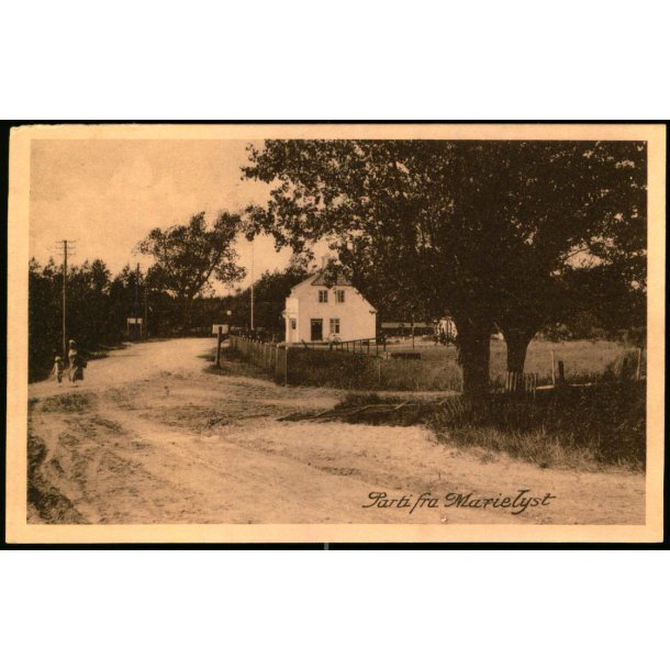 Parti fra Marielyst - Stender 111 - Ubrugt