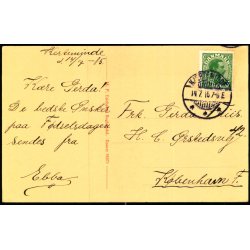 Parti fra Lundsgaards Have - Kerteminde - M.P. Erichens Bogh. 38272 - Brugt