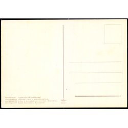 K�benhavn - Vagtparaden paa Amalienborg - Kr�ger 989/21