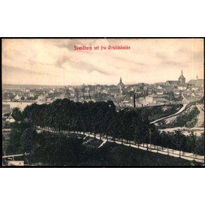Svendborg set fra rkildbakken - W.K.F. 952 - Ubrugt