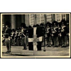 Kbenhavn - Vagtparaden paa Amalienborg - Stender 1013