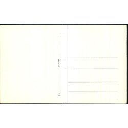 Tisvilde Hegn - Birkealleen - Fotokort 66 - Ubrugt