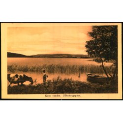Koen Vandes - Silkeborgegnen - J. Chr. Pedersen u/n - Ubrugt