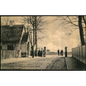 Indk�rsel til Charlottenlund Skov - Alex Vincent 96 - Brugt