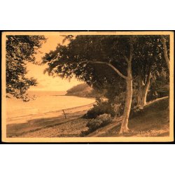 Aarhus - Udsigt fra Moesgaard Skov - Stender 27824 - Ubrugt