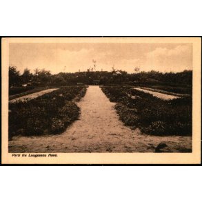 Parti fra Laugesens Have - J. Lund 31 - Ubrugt