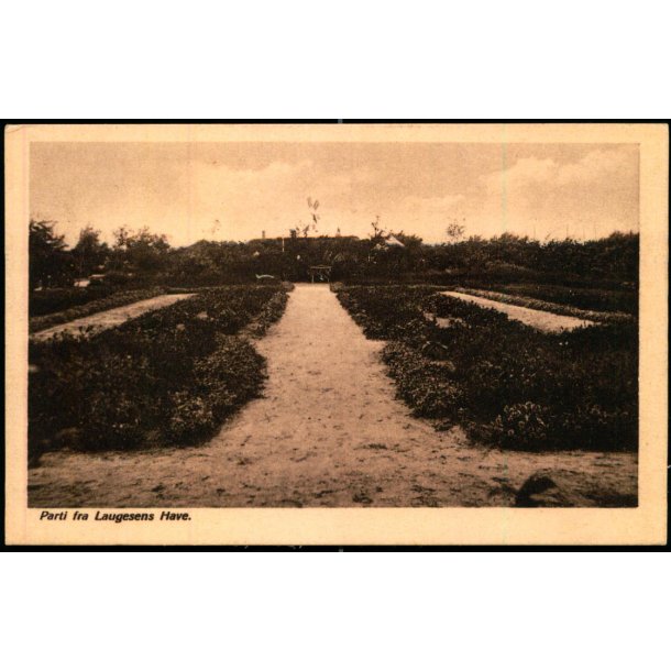 Parti fra Laugesens Have - J. Lund 31 - Ubrugt