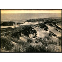 Skagen - Klitparti - V. Asmussen 10779 - Brugt