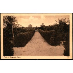 Parti fra Laugesens Have - J. Lund 31 - Ubrugt