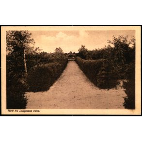 Parti fra Laugesens Have - J. Lund 31 - Ubrugt