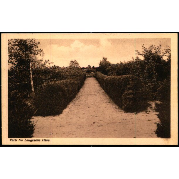 Parti fra Laugesens Have - J. Lund 31 - Ubrugt