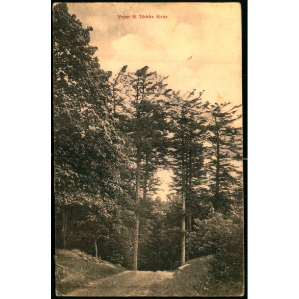 Vejen til Tibirke Kirke - A. Jensens Bogh. 3712 - Brugt