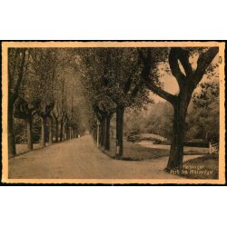 Helsing�r - Parti fra Marienlyst - Stender H 67 - Brugt