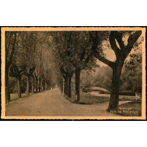 Helsing�r - Parti fra Marienlyst - Stender H 67 - Brugt