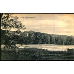 Fuglesangss�en - Peter Alstrup 9302 - Brugt