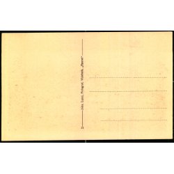 Parti fra Laugesens Have - J. Lund 31 - Ubrugt