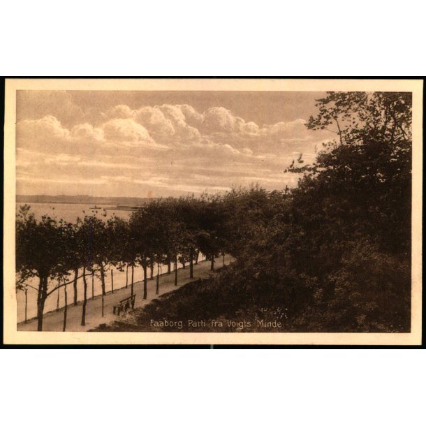 Faaborg - Parti fra Voigts Minde - David J. Bagers Bogh. 42888 - Ubrugt