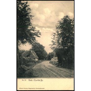 Gade i Tisvilde By - Albert Jensens Bogh. IV - Ubrugt