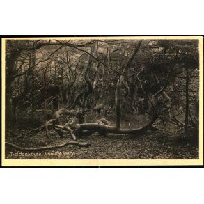 Troldeskoven - Tisvilde Hegn - Frederiksv�rks Bogh. 46019 - Ubrugt