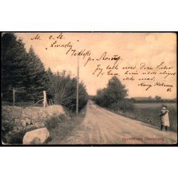 Skovvej ved Glamsbjerg - Ludvig Christensen 602 - Brugt