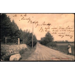 Skovvej ved Glamsbjerg - Ludvig Christensen 602 - Brugt