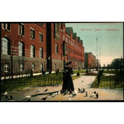 Kbenhavn - Duerne i Raadhushaven - 678