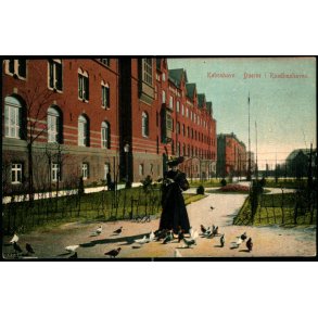 Kbenhavn - Duerne i Raadhushaven - 678