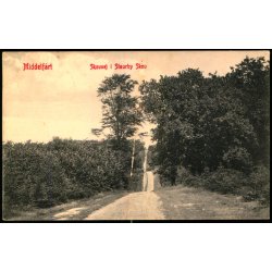 Middelfart - Skovvej i Staurby Skov - W.K.F. 8776 - Brugt