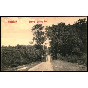 Middelfart - Skovvej i Staurby Skov - W.K.F. 8776 - Brugt