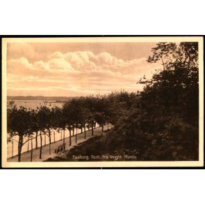 Faaborg - Parti fra Voigts Minde - David J. Bagers Bogh. 42888 - Ubrugt